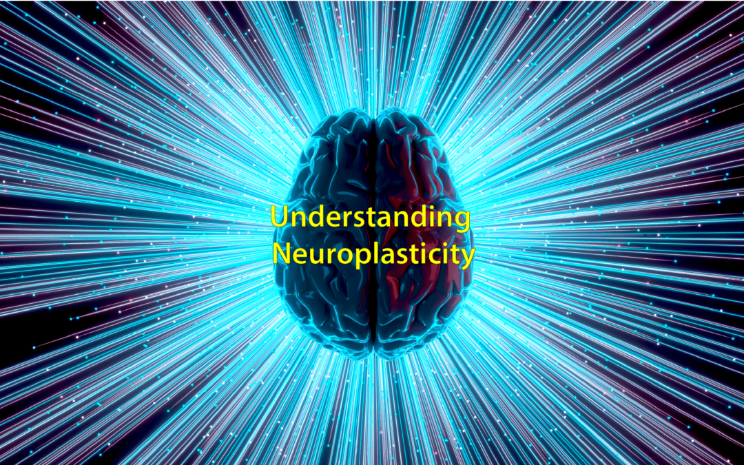 Understanding Neuroplasticity